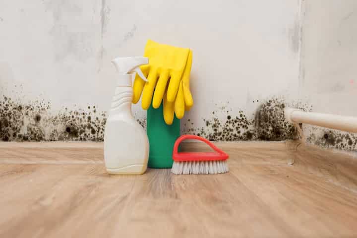 Frequently asked questions about possible  mold exposure in Jackson City, TN.